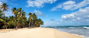 Choosing the Right Caribbean Passport