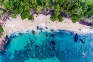 Understanding Taxes and Tax Residency In Grenada