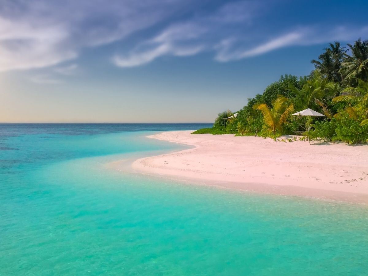 beach with sandy beach and rainforest